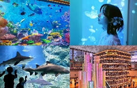 首爾江南K-Style之旅｜跟Julie&Jay逛到夯爆！真實體驗全記錄📝