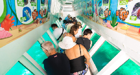 斐濟南海洋島一日遊｜遊玩後總結的3個避坑建議，別踩雷！💡