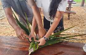 「斐濟烹飪體驗｜台灣人實測！隱藏版文化體驗+美食攻略」