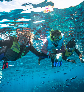 斐濟庫阿塔島實測｜3個預訂避坑點+浮潛必知✨