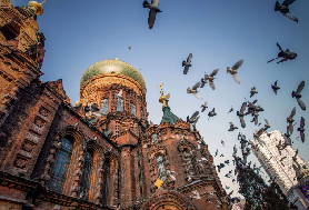 哈爾濱一日遊實測｜3選1景點怎麼揀？避坑乾貨全收！✨