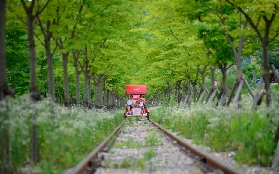 首爾江村鐵道自行車實測｜3個避坑點+懶人玩法攻略✨