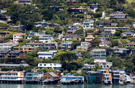 舊金山半日遊選品避坑｜索薩利托+穆爾森林真係超抵！
