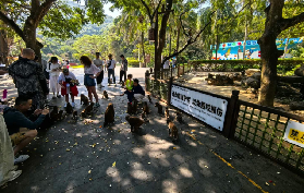 三亞必玩一日遊｜檳榔谷+猴島私人導覽！千年文化x自然生態超讚🤩