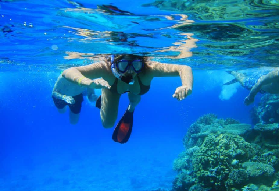 沙姆沙伊赫浮潛必試！蒂蘭島巡遊預訂避坑指南✨