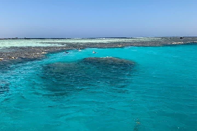 沙姆沙伊赫蒂蘭島浮潛實測！水下珊瑚樂園超讚🤩