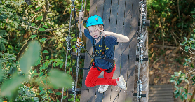 吳哥窟空中飛索實測｜3避坑+5亮點！別再只逛寺廟啦🌳