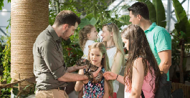 迪拜綠星球遊玩實測｜垂直雨林4層秘境超讚！3000動植物陪你逛