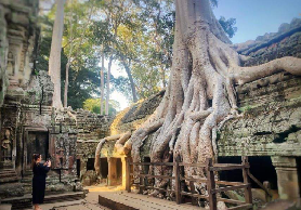 吳哥窟日出之旅總結｜5個必看避坑建議+行程覆盤📝