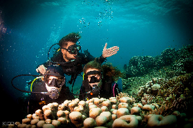 零經驗也能潛！杜馬蓋地道因潛水，專業教練全程守護