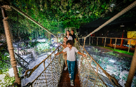 迪拜水族館遊玩總結｜避坑指南+拍照技巧+時間規劃全攻略