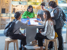 威靈頓蒂帕帕博物館｜導覽體驗超讚！讀懂紐西蘭的秘密寶盒🔍