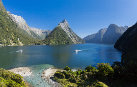 蒂阿瑙出發米爾福德一日遊｜預訂前3個必睇技巧✨