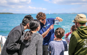 奧克蘭觀鯨海豚遊船｜保姆級避坑指南，這些坑別踩！