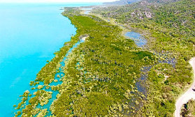 湯斯維爾磁島避坑！3.5小時越野探險撞見無尾熊？✨