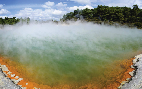 懷奧塔普避坑指南｜3個容易踩雷的點別忽略💡