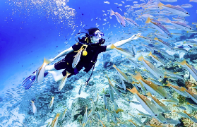 普吉潛水避坑實測｜拉差羣島這間竟讓我愛上深海？✨