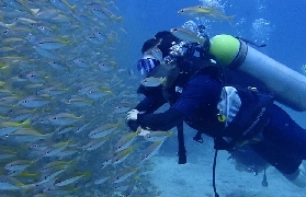 普吉島PADI OW/AOW考證詳解｜價格、年齡限制全透明，輕松解鎖潛水證書