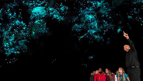 新西蘭一日遊實測｜哈比村+懷託摩螢火蟲洞小團真係超抵！避坑指南看這篇✨