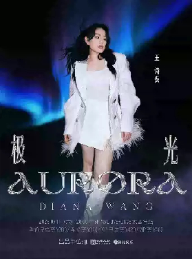 王詩安《極光》巡回演唱會廣州站