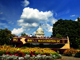 華盛頓Big Bus觀光巴士避坑指南｜保姆級遊玩心得分享⚠️