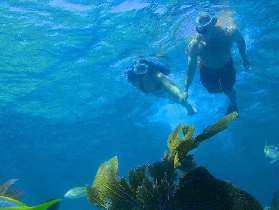 佛羅裏達礁島羣雙重浮潛｜生態探秘避坑指南✨