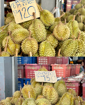 資訊圖片
