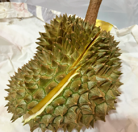 資訊圖片