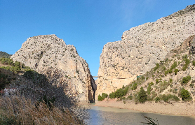 資訊圖片