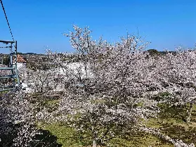 資訊圖片