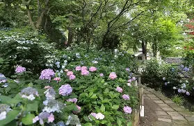 資訊圖片