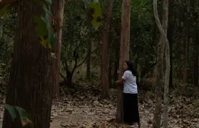 資訊圖片