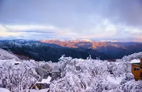 資訊圖片
