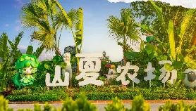 資訊圖片