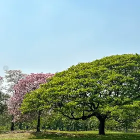 資訊圖片