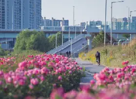 資訊圖片