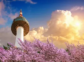資訊圖片