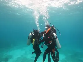 資訊圖片