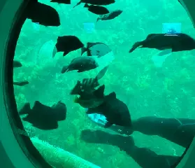 資訊圖片