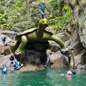 資訊圖片