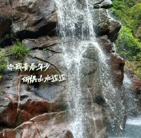 資訊圖片