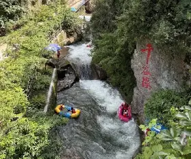 資訊圖片