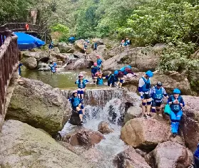 資訊圖片