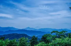 2026東京高尾山登山初學者必讀5件事｜日本最陡纜車、藥王院、精進料理全攻略