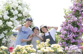 2026大阪萬博紀念公園玫瑰節：250品種×平和玫瑰園初夏綻放
