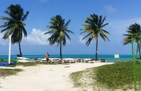 資訊圖片