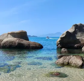 資訊圖片