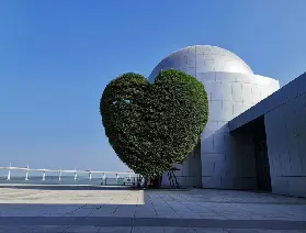 資訊圖片