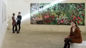 資訊圖片