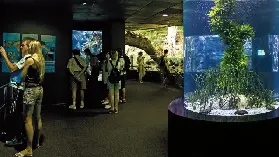 西班牙鸚鵡公園保姆級攻略🔥必玩亮點+避坑技巧全整理